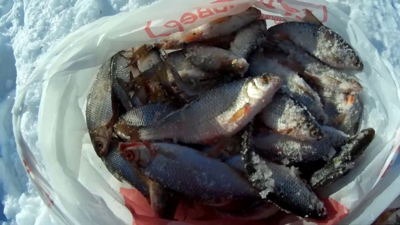 ЖОР ПЛОТВЫ(СОРОГИ)ЗИМОЙ!ЛОВЛЯ НА МОРМЫШКУ,ДОНКУ,МОТЫЛЬ!(8.03.2018)ЧАСТЬ 2.