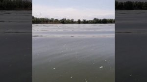 Рыбалка на Дону.  Ловля донской селедки.