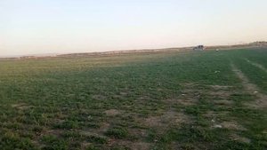 Лайфхак как сплющивает 20 кг Алюминиевых банок за 10 минут