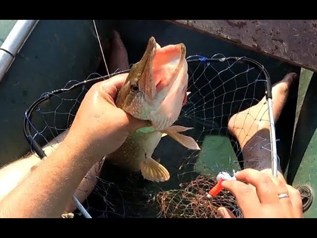 Приехал на реку отдыхать, еще и рыбы наловил Рыбалка на спиннинг Щука на джиг Река Омь смотреть онлайн