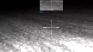 Охота на лису ночью. Прицел Пульсар, карабин Байкал 145 в 308 win.