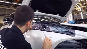 Защита "глаз" автомобиля