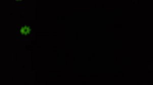 Приора Скрип при повороте руля