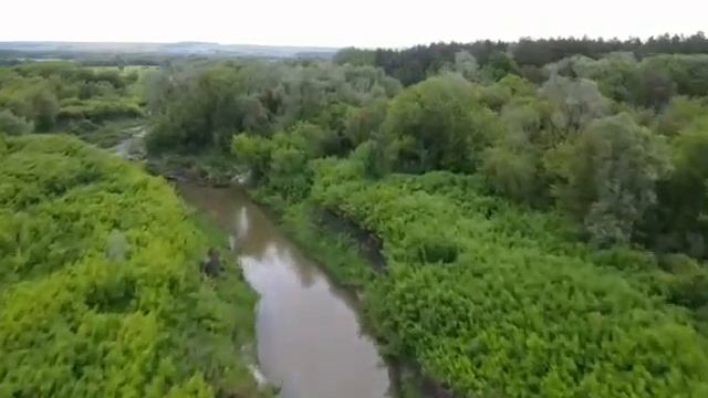 Весна 2022 года, р.Карла на квадрокоптер смотреть онлайн