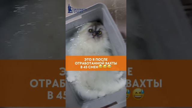 video_2024-09-18_09-04-39 (25)