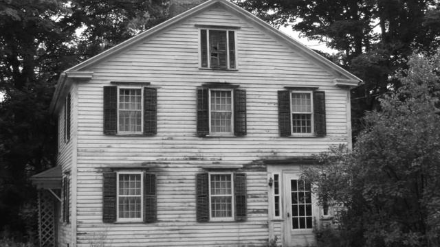 Dave Smith Instruments Prophet '08: Improvisation LIII смотреть онлайн