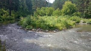 Горный Алтай 2020 Путешествие на автомобиле. ДЕНЬ 3 часть 1 / Горно-Алтайский ботанический сад /