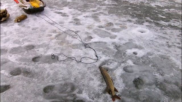 Зимняя рыбалка в Саратовской области. Расловка-1. смотреть онлайн