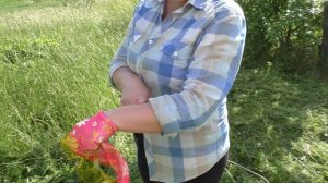 ЧЕМ ЛУЧШЕ КОСИТЬ газон ?