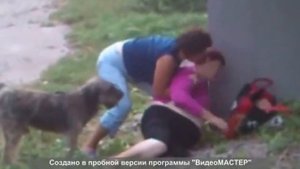 Приколы про пьяных Ржака Падения