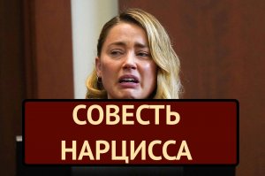 У нарцисса есть совесть. Вот почему