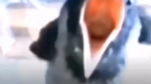 пасхалка пасхалки пасхалочка