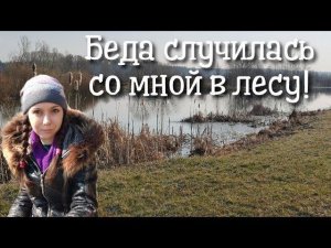 Коп 2020. Поиск старых дорог в лесу