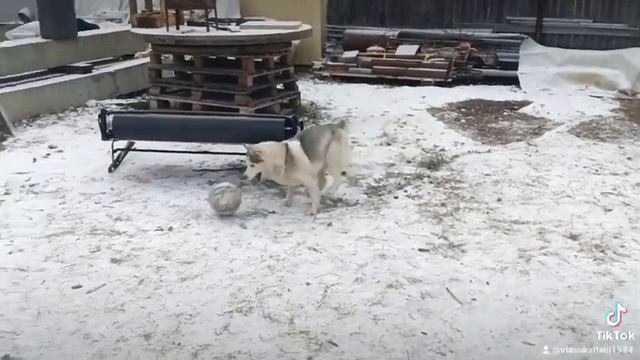 утренняя разминка смотреть онлайн