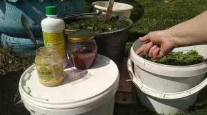 Как приготовить натуральное удобрение для томатов, перцев, баклажан