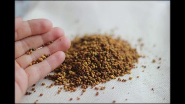 Чёрный мёд смотреть онлайн