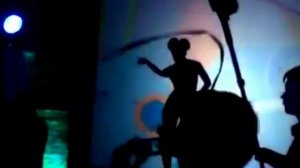 Шоу теней на праздник. Заказать театр теней Москва. +7 499 4081215