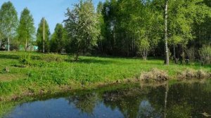 Весна в деревне