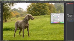 Photoshop Tutorial - Changing Grass Colour - Dog Photo Editing 101