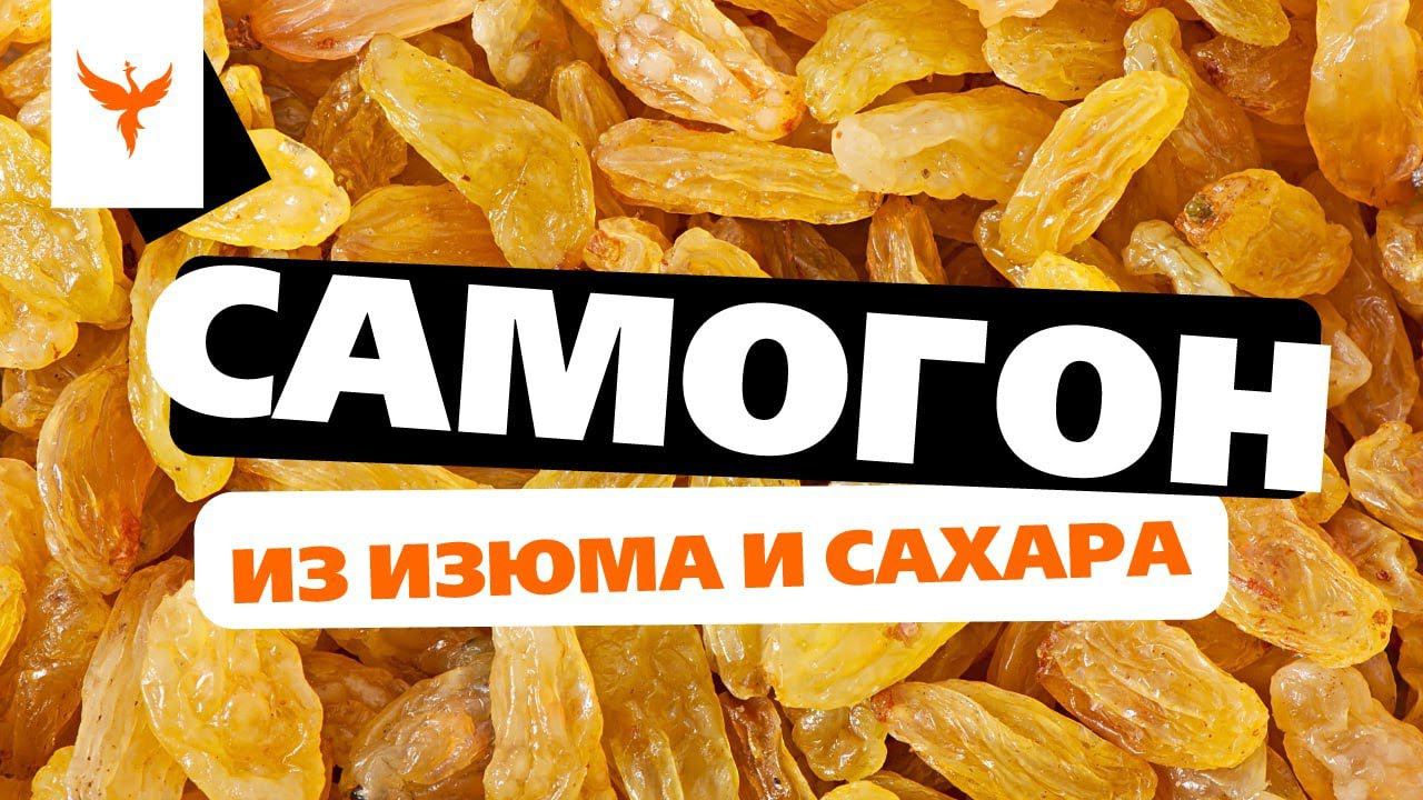 сДЖ 16: Самогон из изюма  и сахара. Что это❓ Посредственный сахарный самогон или тяжелая чача  ❓