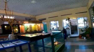 Ростовский Зоопарк Выставка Империя Чужих