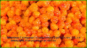Ягода морошка — полезные свойства и кому нельзя
