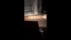Минитрактор с фронтальным погрузчиком и задней навеской. Полный обзор