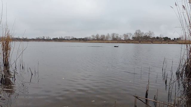 Карповый кораблик своими руками смотреть онлайн