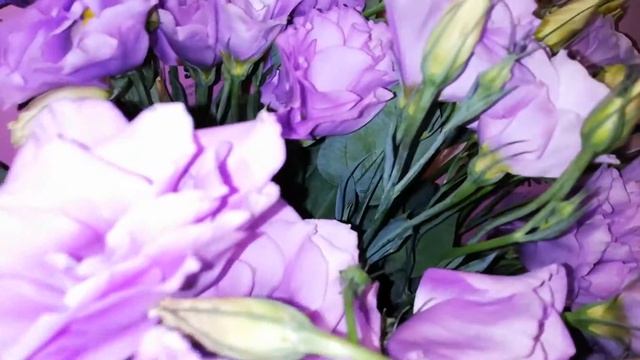 БУКЕТ С ЭУСТОМАМИ В ЛАВАНДОВОМ ЦВЕТЕ. ДОСТАВКА БУКЕТОВ ДНЕПР. ЗАКАЗАТЬ ЦВЕТЫ ЭУСТОМЫ ДНЕПР