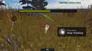 Как охотится в Котах воителях / Warrior Cats roblox Советы новичкам #роблокс #roblox #wcue #врек