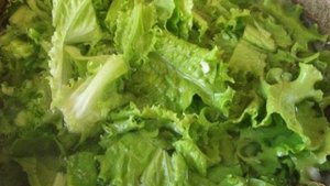 Зеленый суп из листьев салата