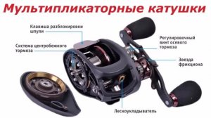 Как устроены мультипликаторные катушки