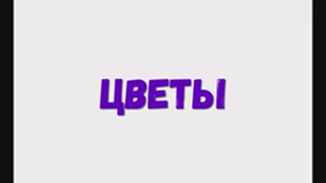 Цветы, изучаем цветы.