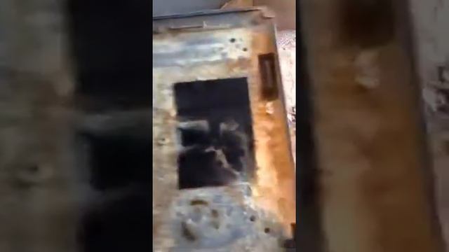 Это кошка сделала)))))) смотреть онлайн