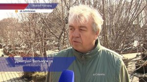 Специалисты дали советы нижегородским дачникам про выращивание  абрикосов и персиков