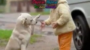 Даром Бог даёт прощение Караоке,Христианские песни