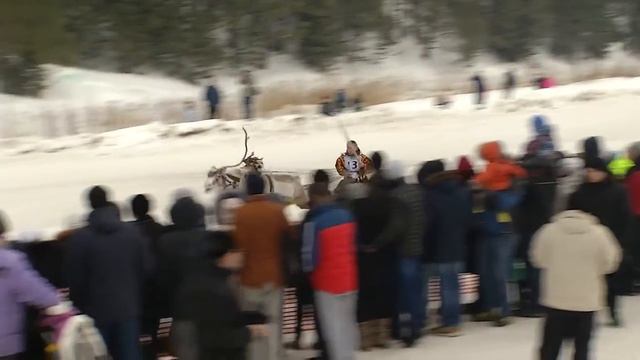 "Ма мувем". День оленевода 2017 смотреть онлайн