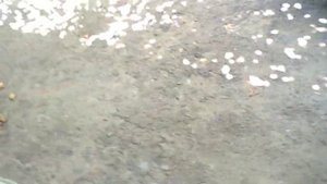 Обрыв ремня ГРМ. Что будет если порвется ремень ГРМ. СДЕЛАЙ ЭТО чтоб не рвало ремень. Замена ремня