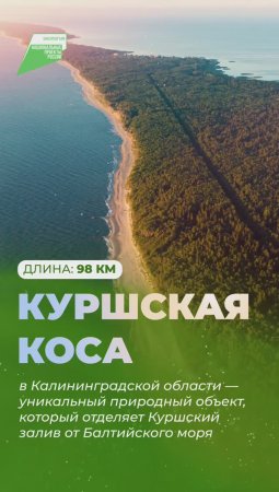 Благоустройство нацпарка «Куршская коса»