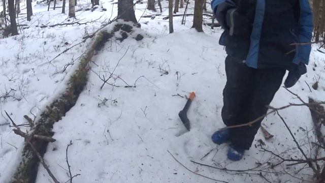 Добываем чагу! Как добыть чагу? Где найти? смотреть онлайн