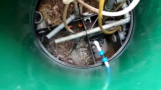 Евролос Про 5+, два года эксплуатации смотреть онлайн