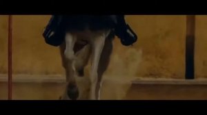 Zaxiriddin muxammad Bobur haqida yangi film