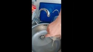 засолка икры гольца ????