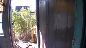 Покрасили веранду!