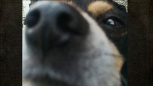 разговариваем