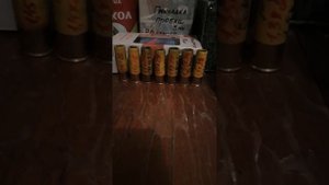 ирбис-охота 35 для сайги 20 с разными навесками.