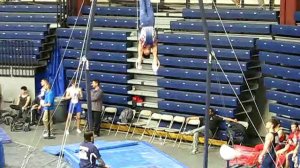 Eric Lung - Still Rings - 2017 Region 7 Men Gymnastics Championships