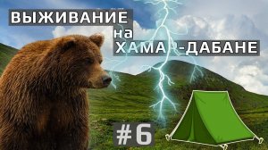 Опасная встреча с медведем под Тумбусун-Дулгой | Шторм на Хамар-Дабане | Палатку топит | Дни 5 и 6