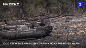 17-20 августа в Крыму высок риск пожаров из-за жары