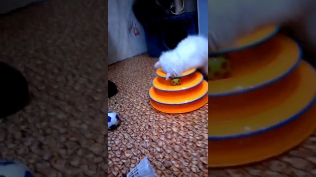 Наденька, потеряшка смотреть онлайн